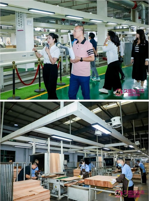 普及 0膠0醛純實(shí)木 ,久盛地板 工廠鑒證之旅 圓滿收官